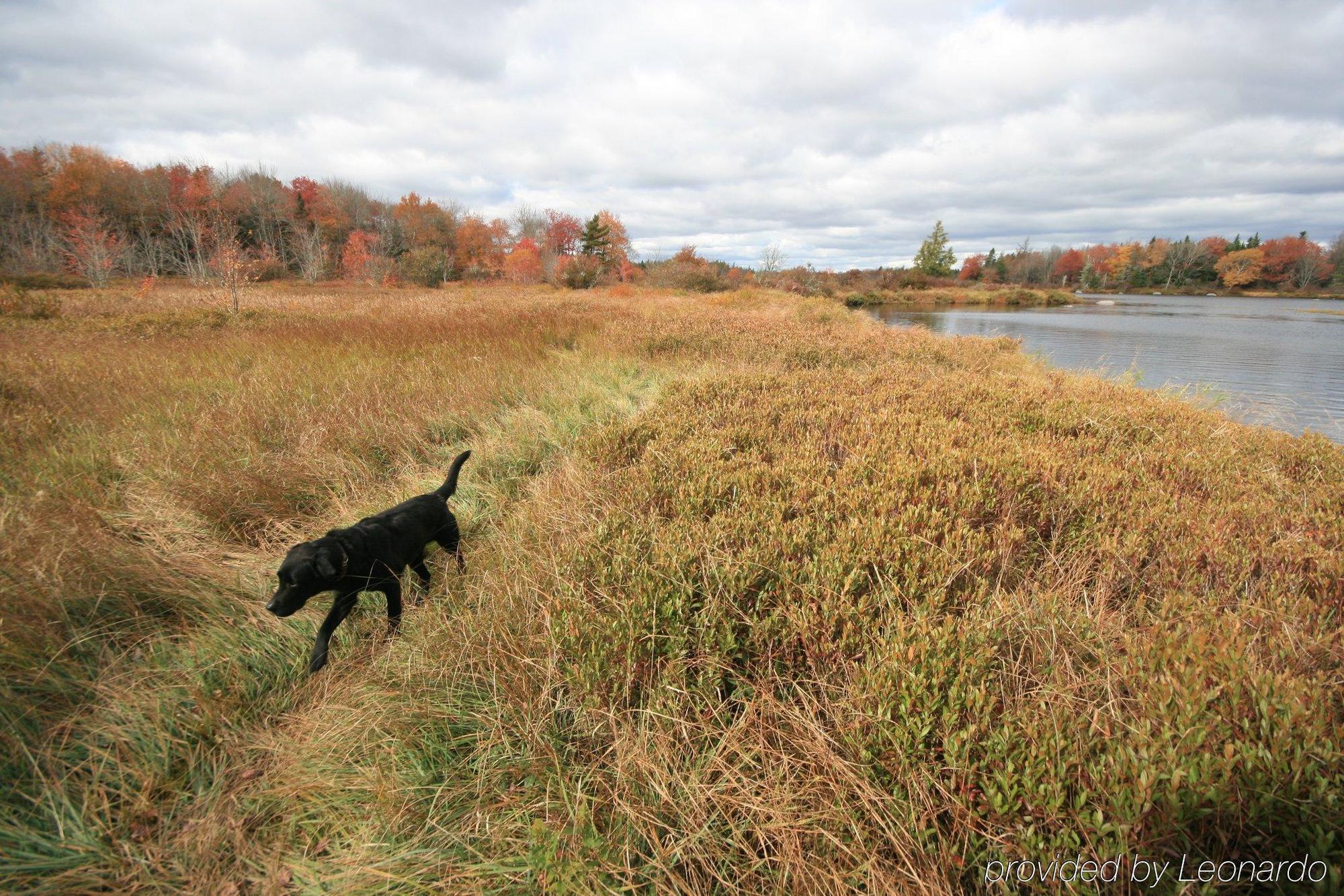 Trout Point Lodge Of Nova Scotia East Kemptville Facilidades foto
