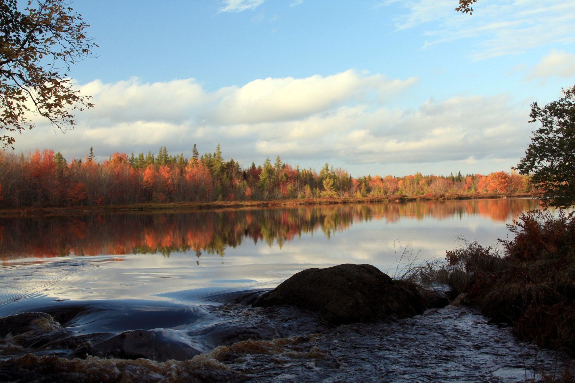 Trout Point Lodge Of Nova Scotia East Kemptville Facilidades foto